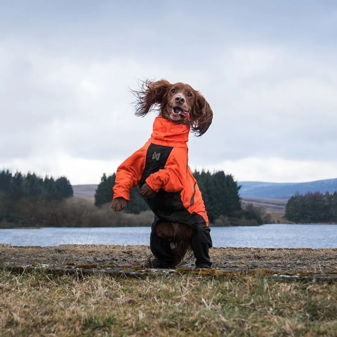 Non-stop dogwear Fjord 2.0 sadehaalari koiralle
