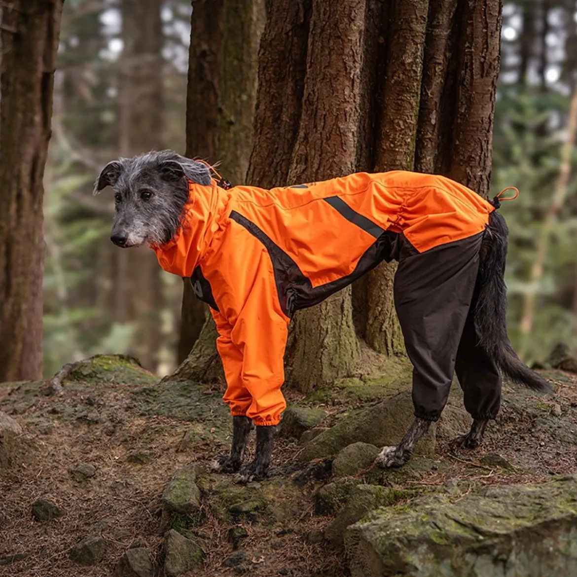 Non-stop dogwear Fjord 2.0 sadehaalari koiralle