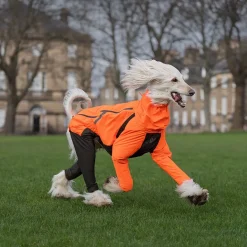Non-stop dogwear Fjord 2.0 sadehaalari koiralle