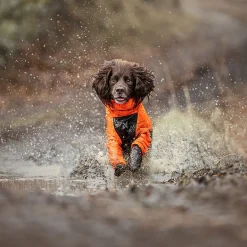 Non-stop dogwear Fjord 2.0 sadehaalari koiralle