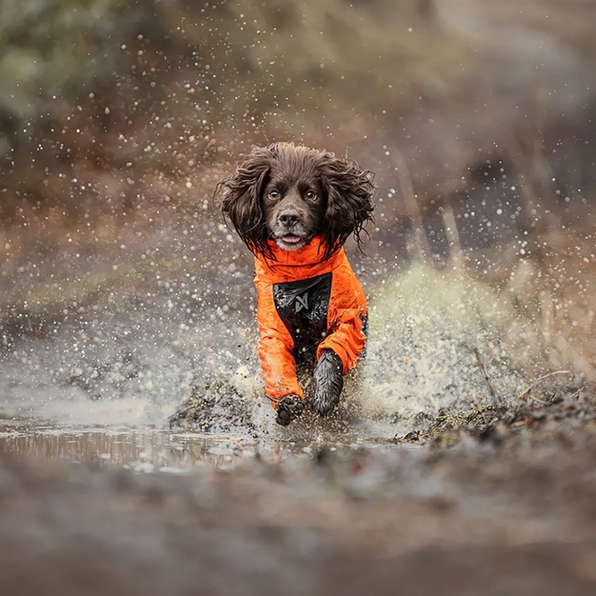 Non-stop dogwear Fjord 2.0 sadehaalari koiralle