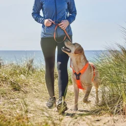 Non-Stop Dogwear Line harness 5.0, oranssi