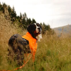 Non-stop dogwear Protector puku, urosmalli