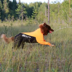 Non-stop dogwear Protector puku, narttumalli