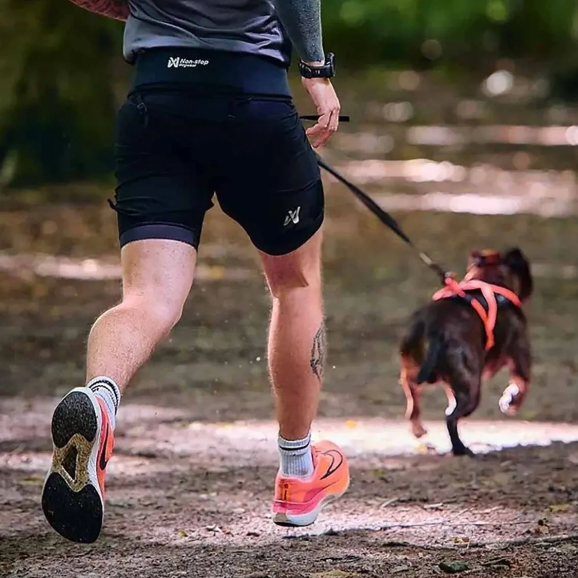 Non-Stop Dogwear Rush -talutusvyö