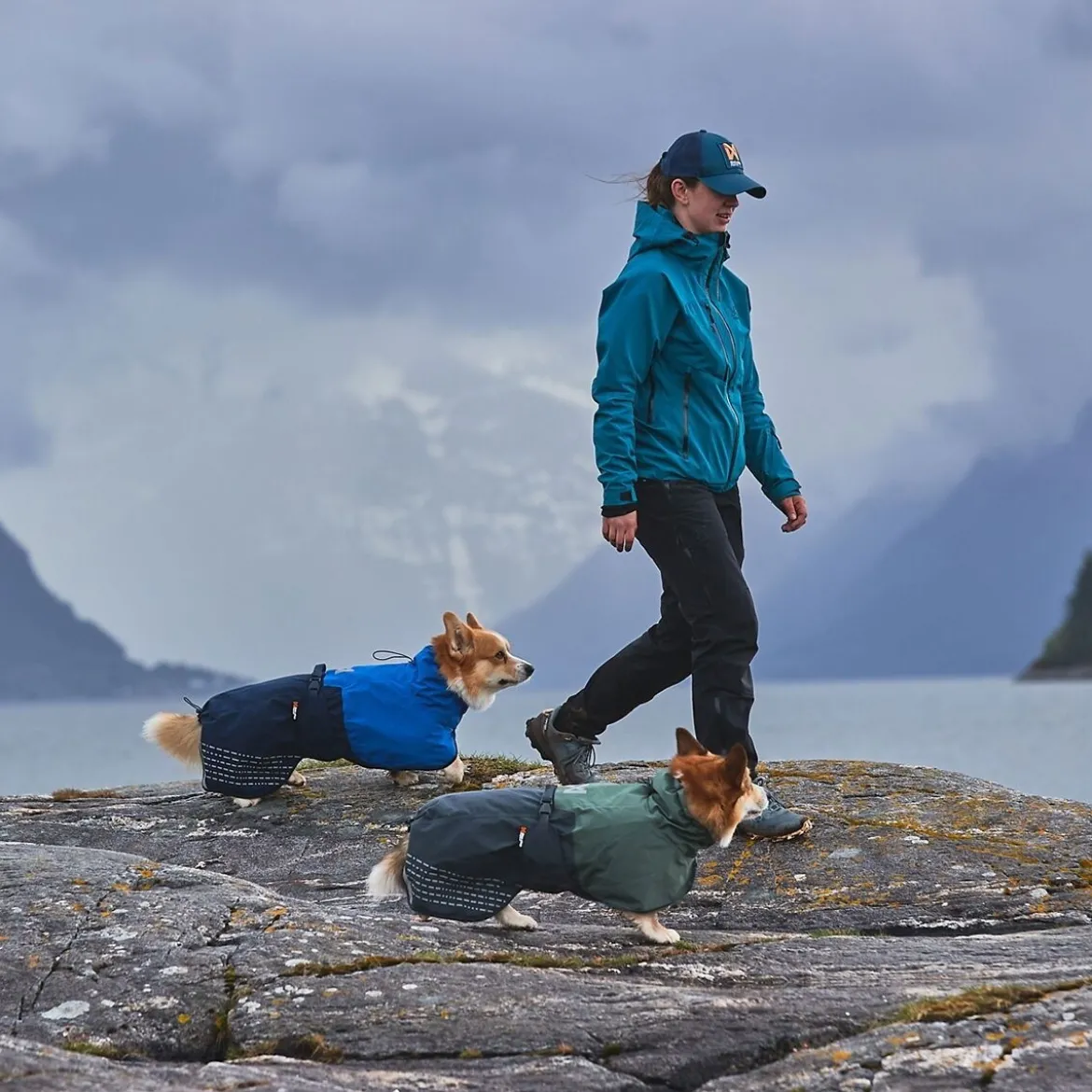 Non-Stop Fjord koiran sadetakki, sininen