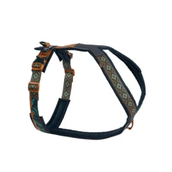 Non-stop Line 5.0 RP koiran valjaat, teal/oak