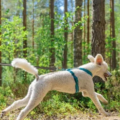 Non-Stop Line valjaat 5.0, sinivihreä