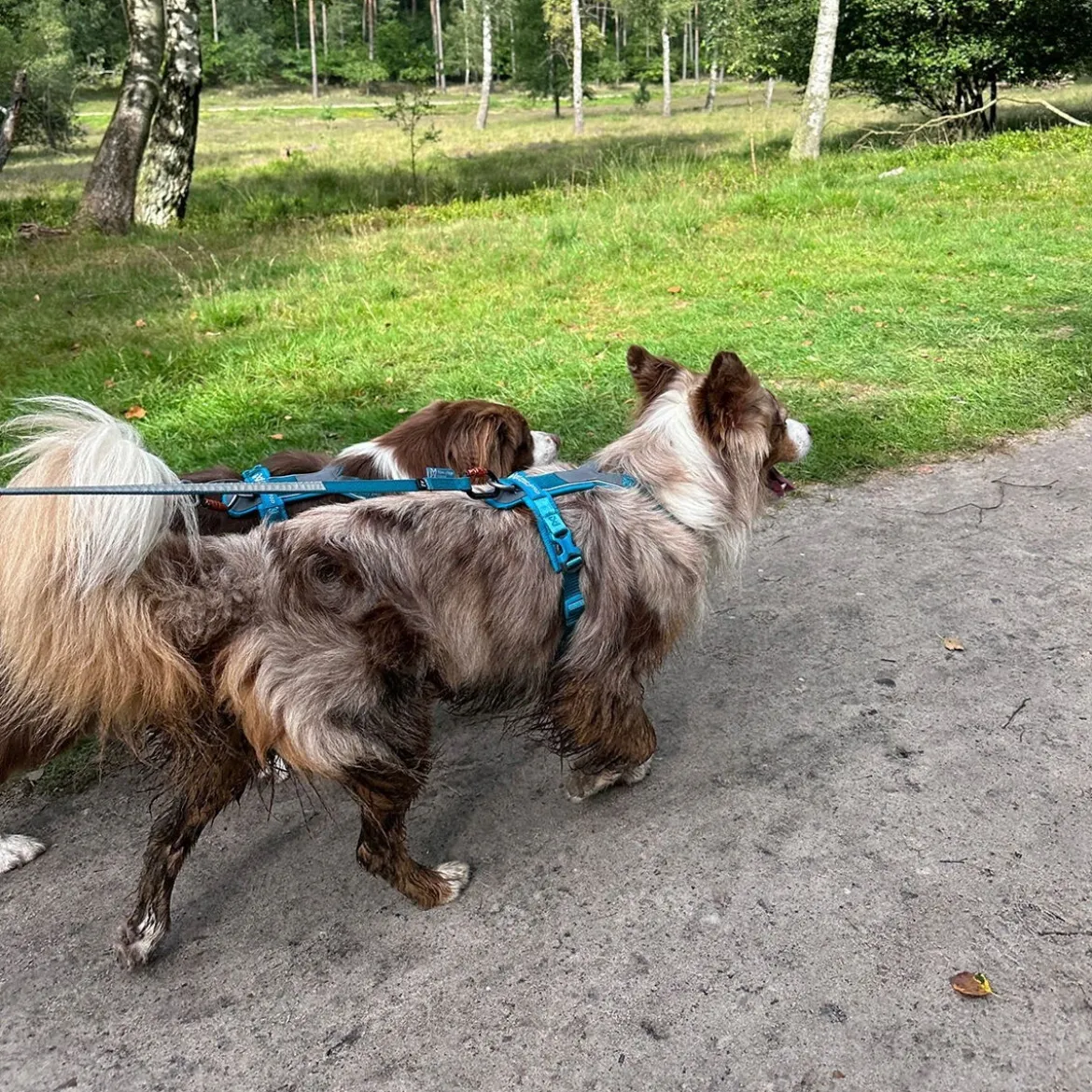 Non-Stop Line valjaat 5.0, sinivihreä
