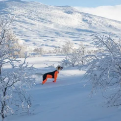 Non-Stop Protector Snow haalari, narttumalli
