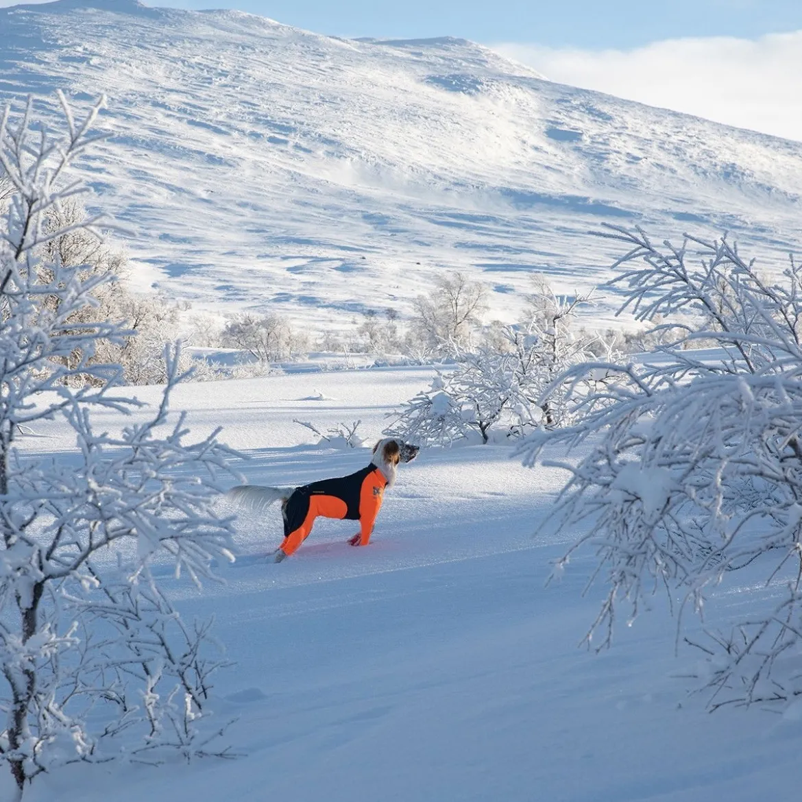 Non-Stop Protector Snow haalari, narttumalli