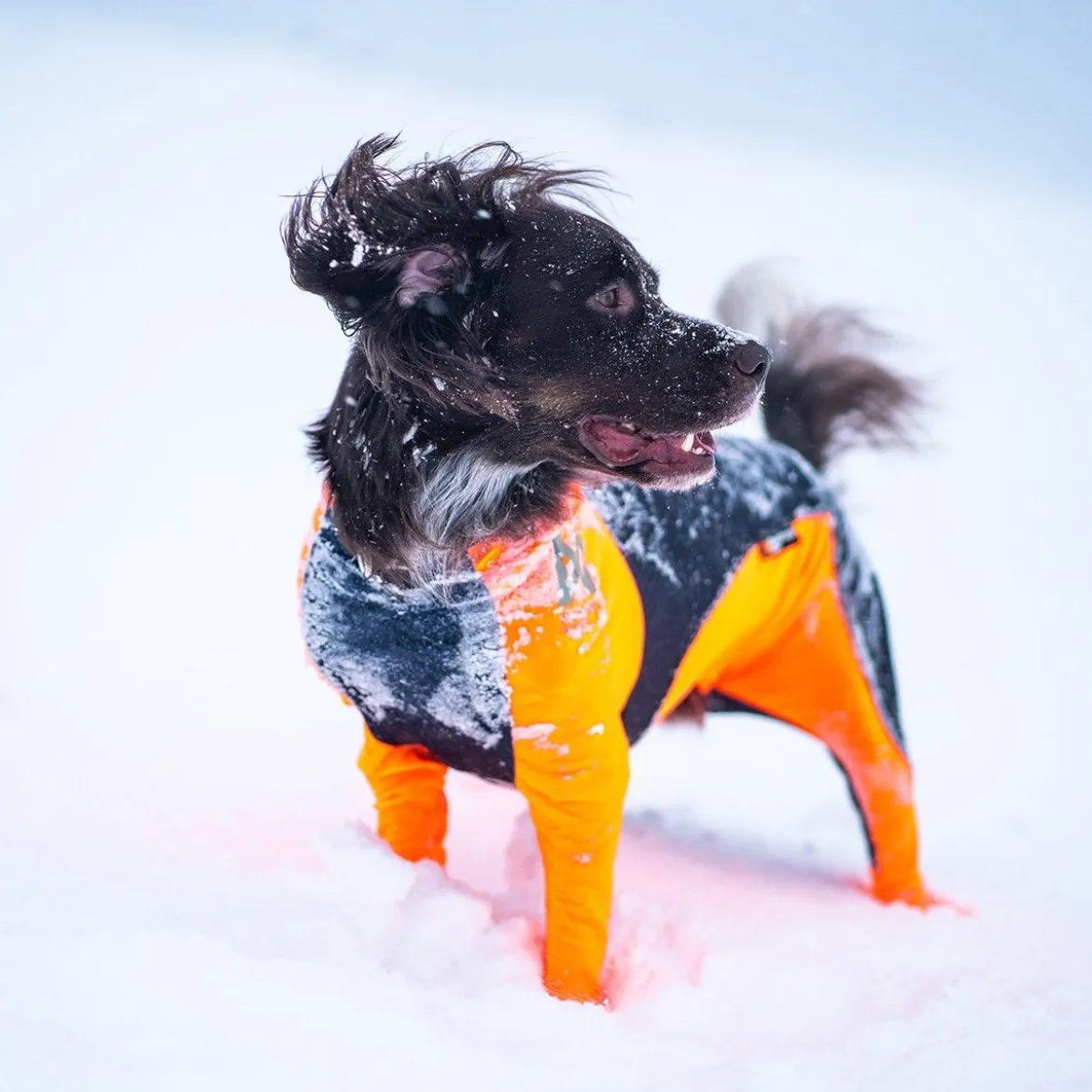 Non-Stop Protector Snow haalari, urosmalli