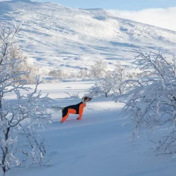 Non-Stop Protector Snow haalari, urosmalli