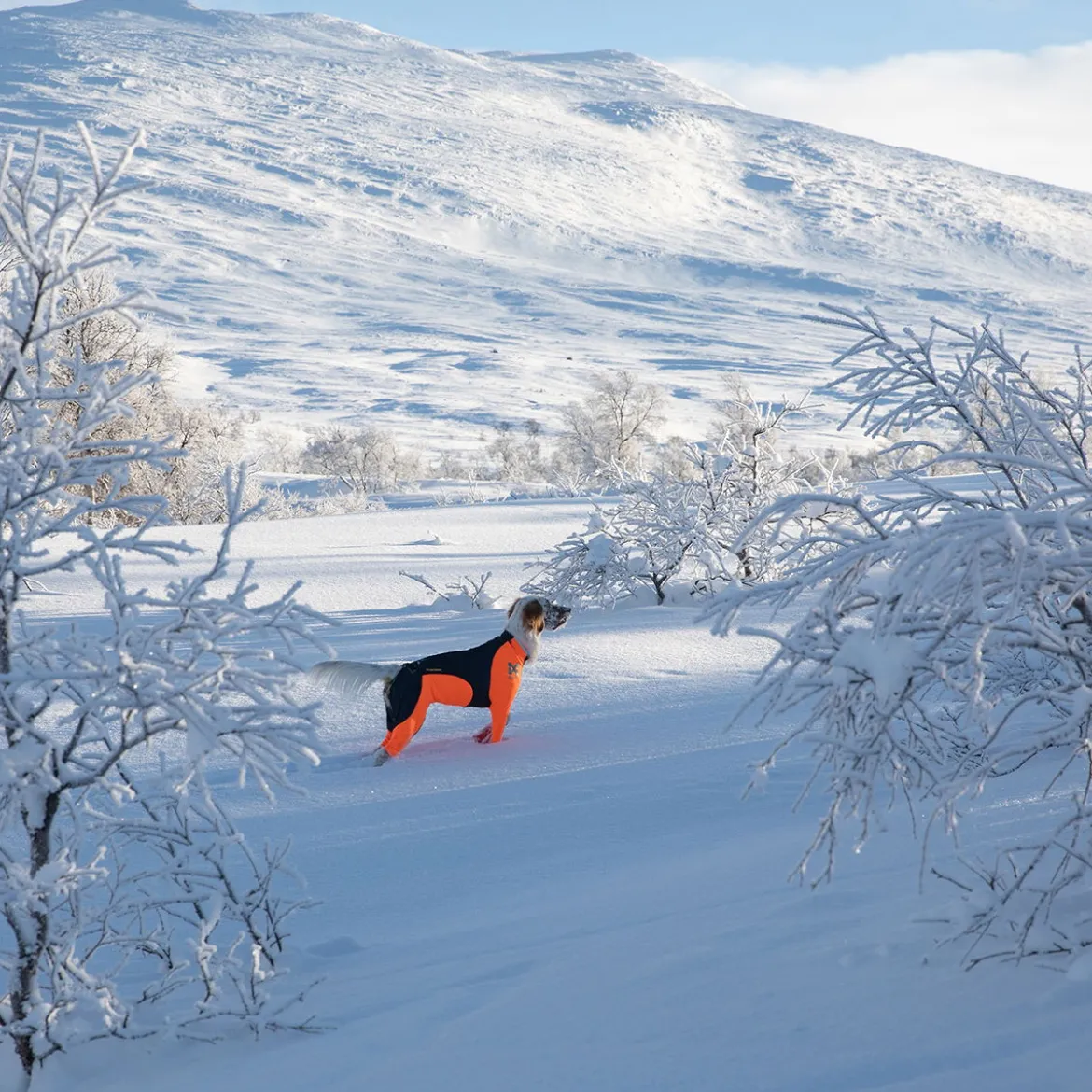 Non-Stop Protector Snow haalari, urosmalli