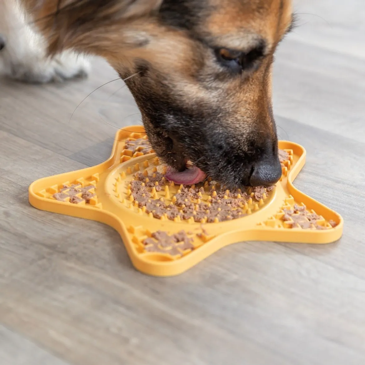 Nuolumatto koiralle Trixie Lick'n'Snack, 23,5 cm