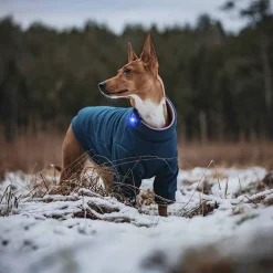Orbiloc Dual -huomiovalo