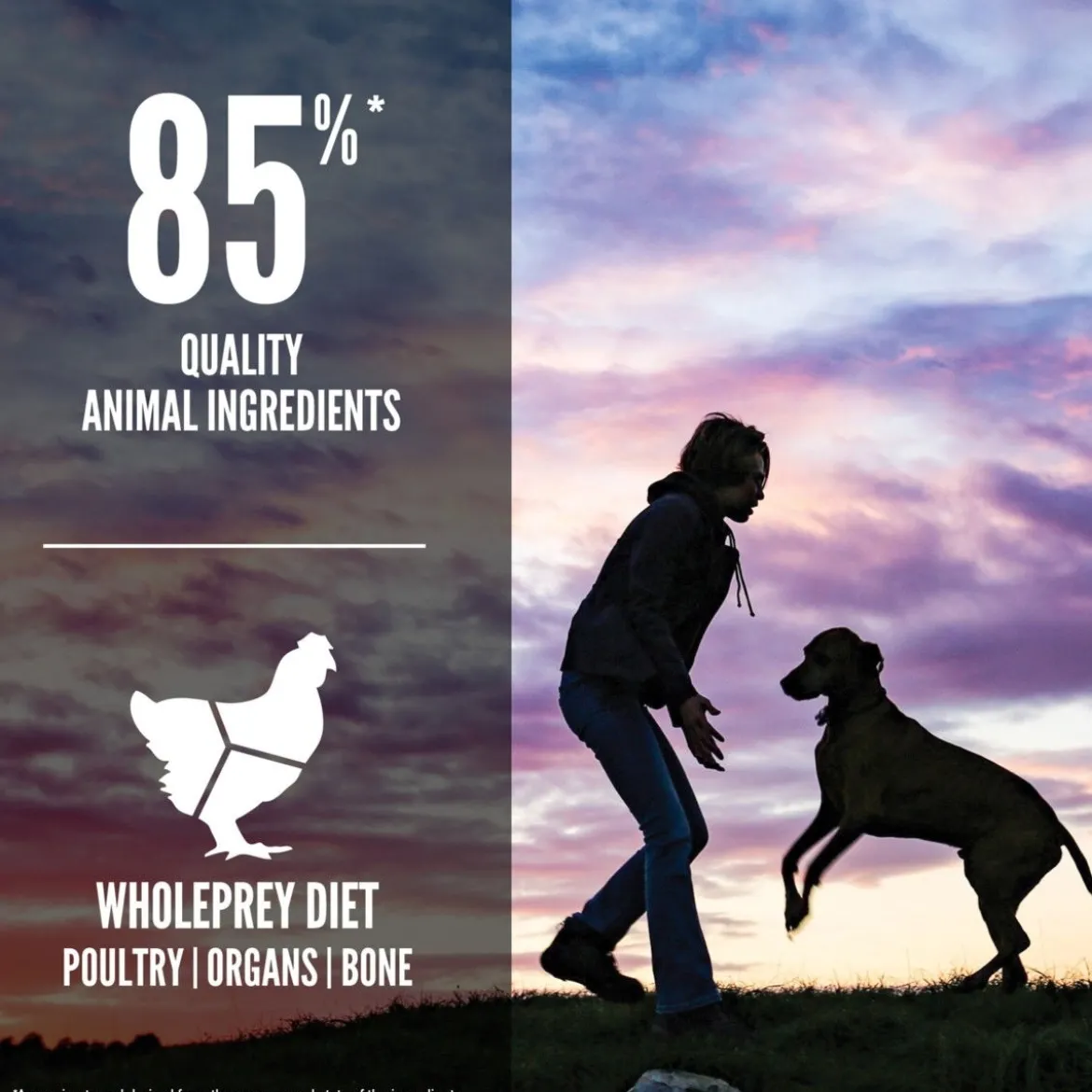 Orijen Puppy Large, 11,4 kg
