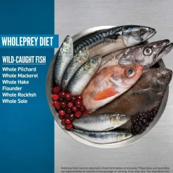 Orijen Six Fish