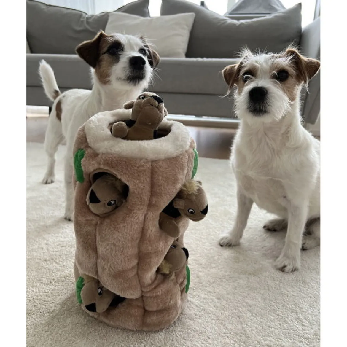 Outward Hound Hide A Squirrel