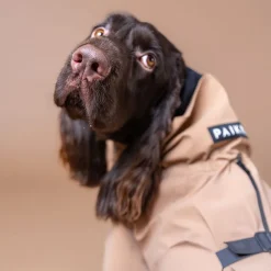 PAIKKA koiran sadetakki, heijastava taupe