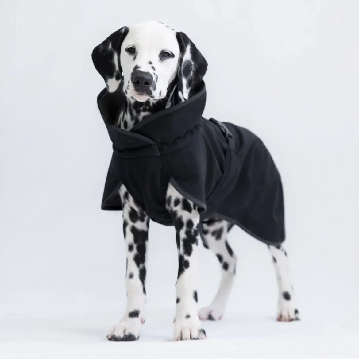 PAIKKA Recovery Softshell-takki, musta