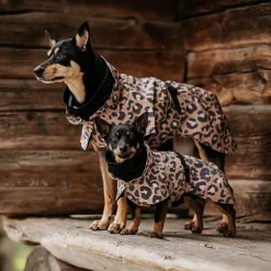 PAIKKA Visibility Raincoat Lite -koiran sadetakki, leo