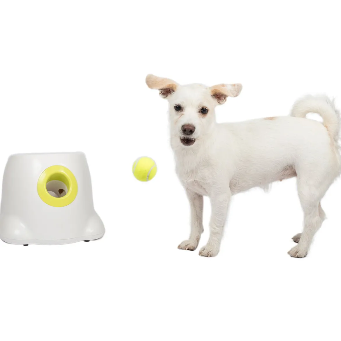 Pallonheittokone All For Paws Hyper Fetch Mini
