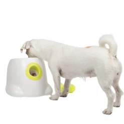 Pallonheittokone All For Paws Hyper Fetch Mini