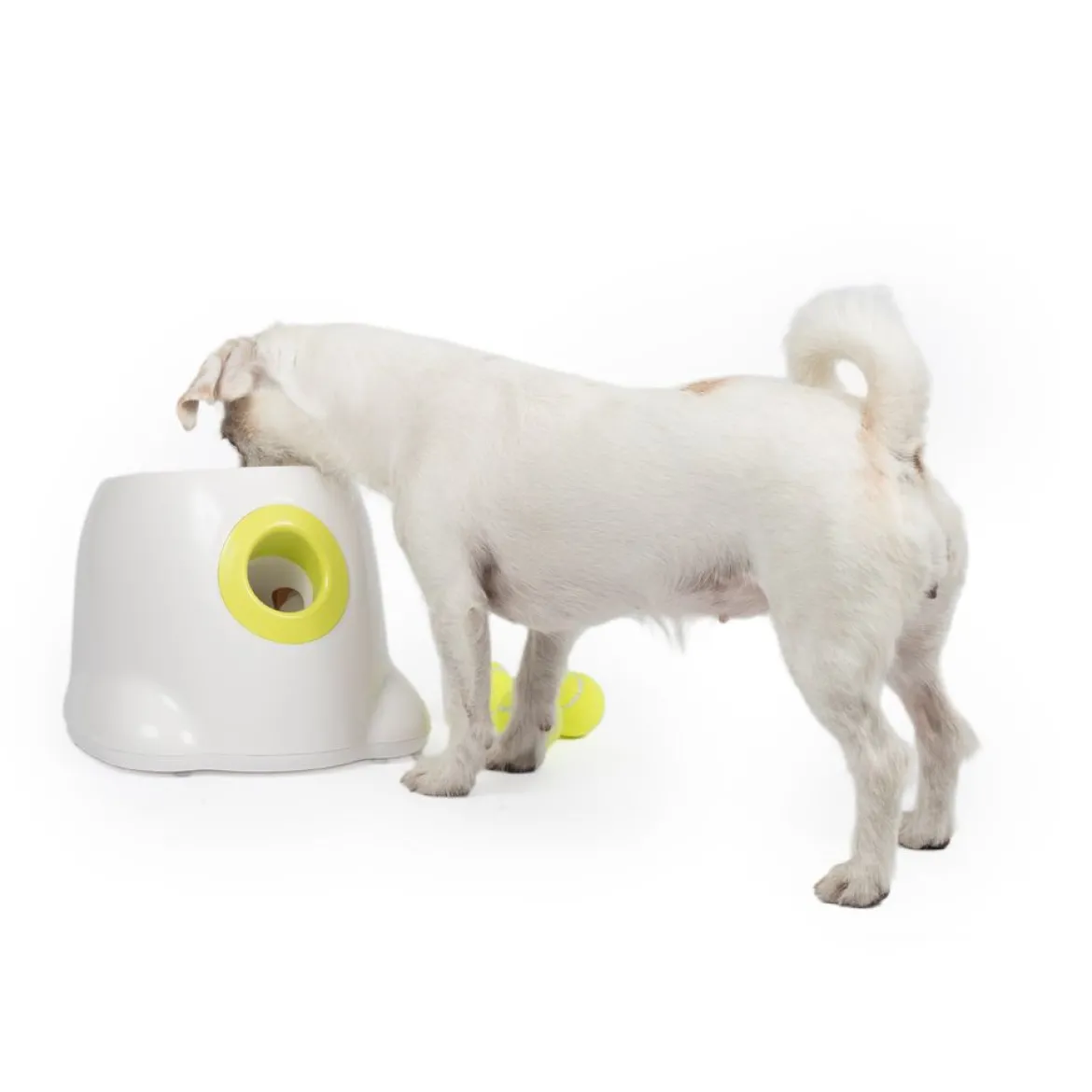 Pallonheittokone All For Paws Hyper Fetch Mini