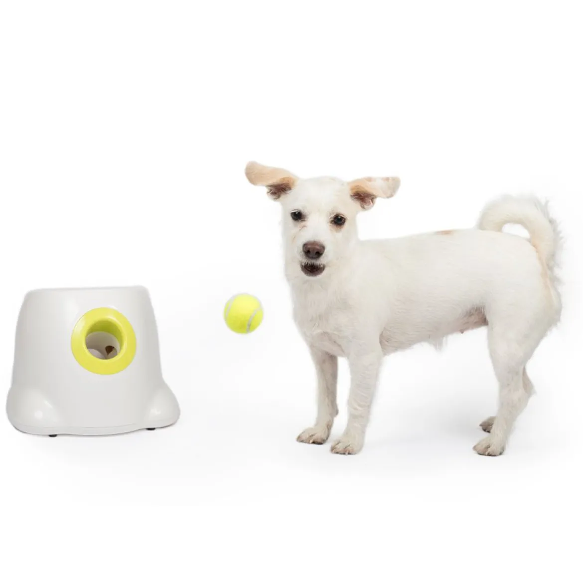 Pallonheittokone All For Paws Hyper Fetch Mini