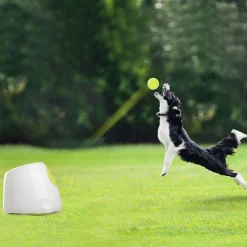 Pallotykki All for Paws Hyper Fetch Maxi