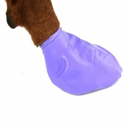 PawZ koiran suojatossut, 12 kpl