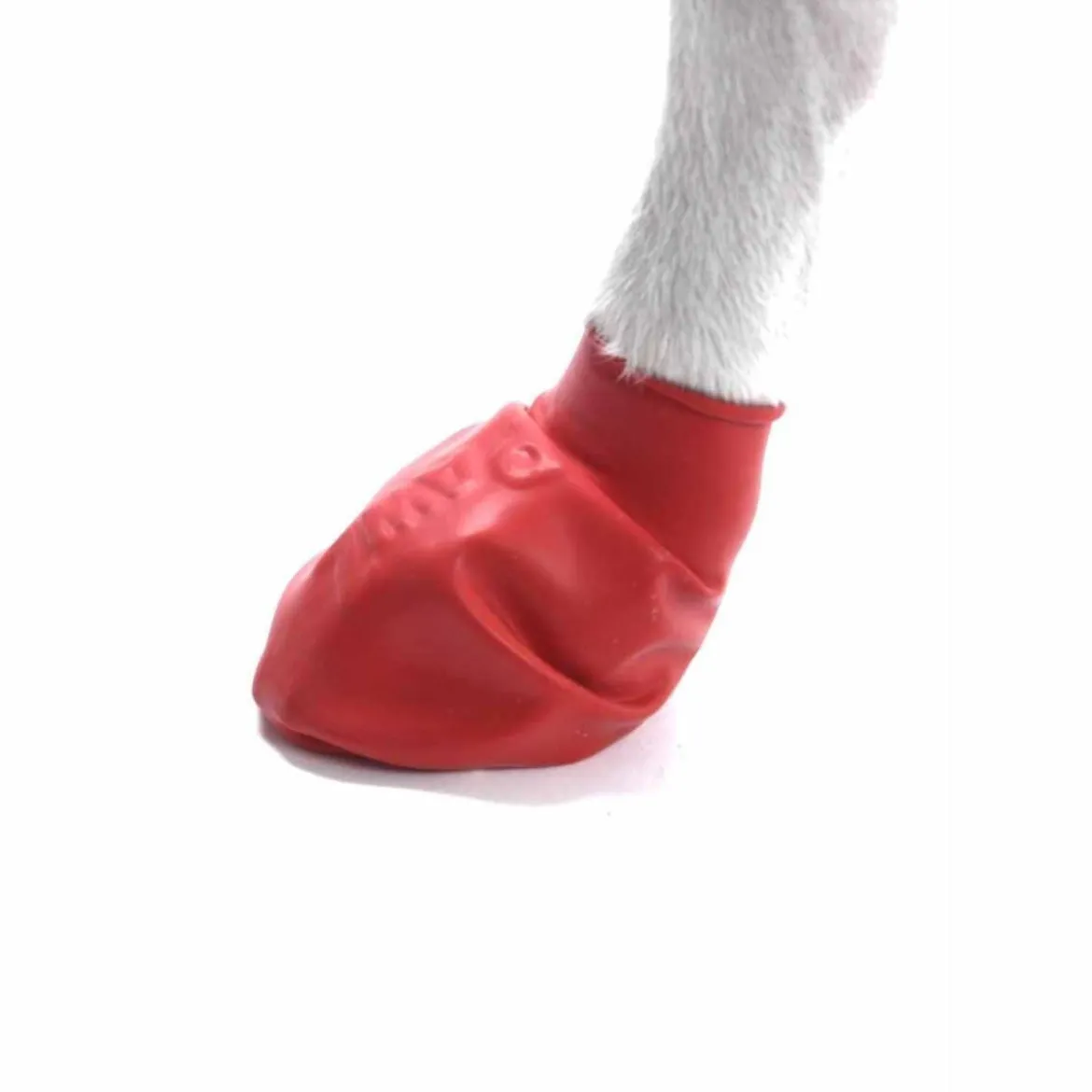 PawZ koiran suojatossut, 12 kpl