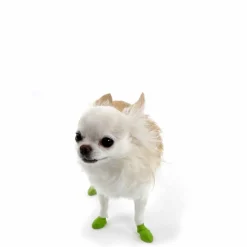 PawZ koiran suojatossut, 12 kpl