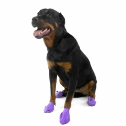 PawZ koiran suojatossut, 12 kpl