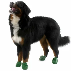PawZ koiran suojatossut, 12 kpl