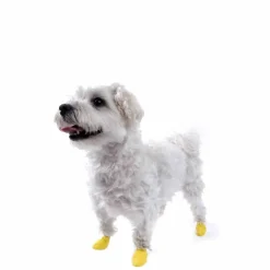 PawZ koiran suojatossut, 12 kpl