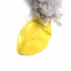 PawZ koiran suojatossut, 12 kpl