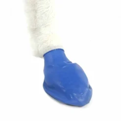 PawZ koiran suojatossut, 12 kpl