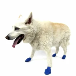 PawZ koiran suojatossut, 12 kpl