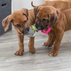 Pehmolelu Trixie Junior Nalle pururenkaalla