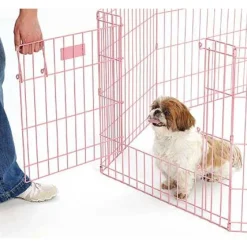 Pentuaitaus LifeStages Max Lock Pink