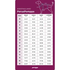 PerusPomppa Rust