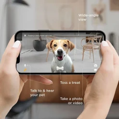 Petcube Bites 2 Lite -kamera