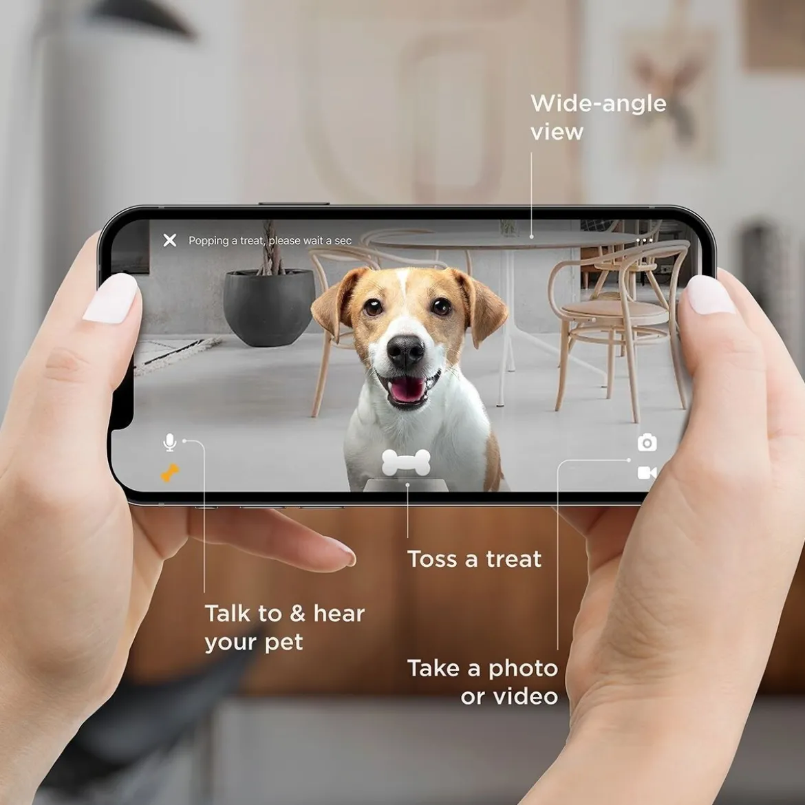Petcube Bites 2 Lite -kamera