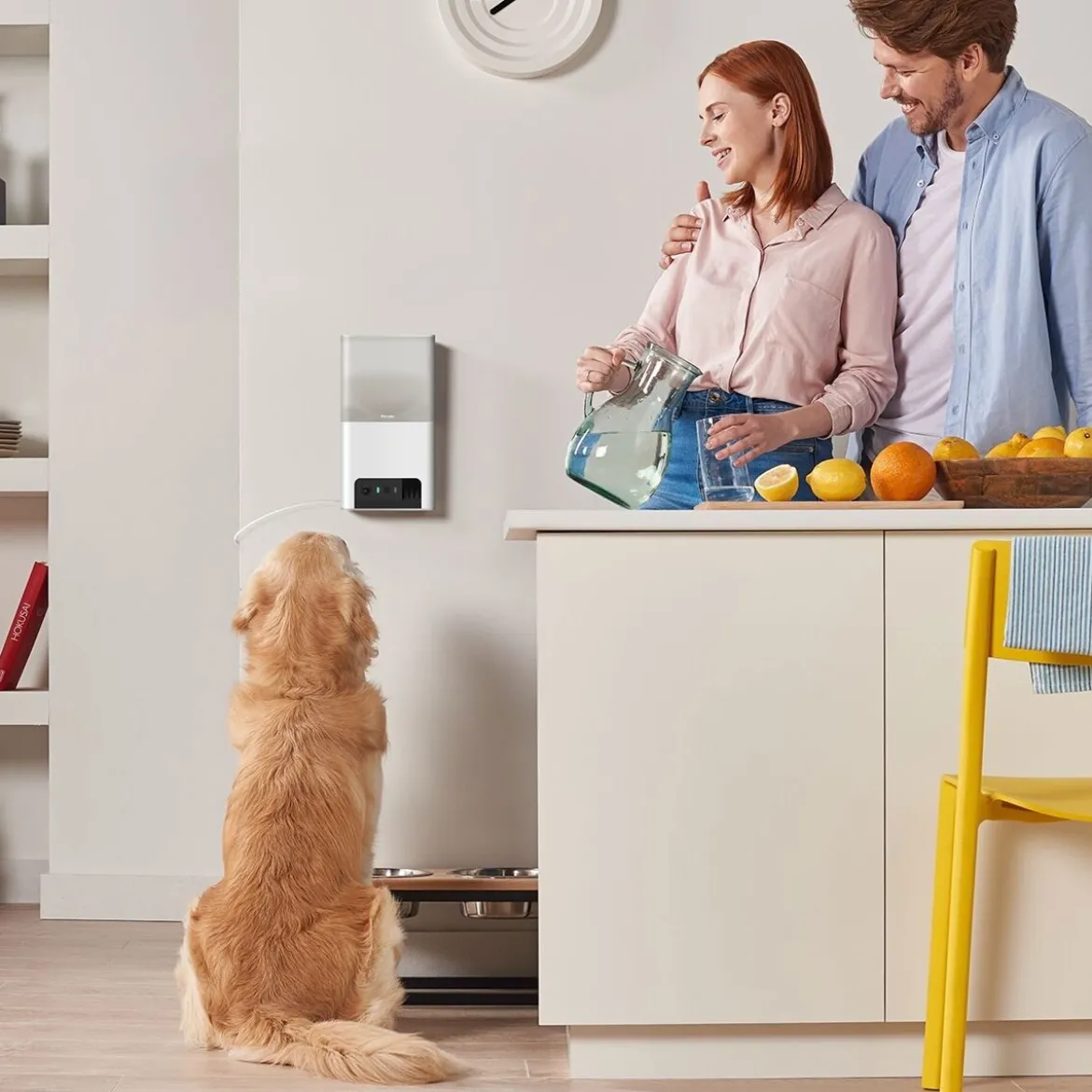 Petcube Bites 2 Lite -kamera