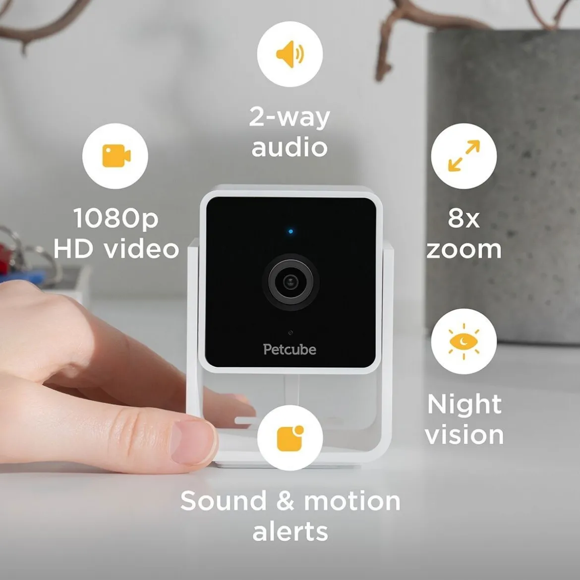 Petcube Cam lemmikkikamera kotiin