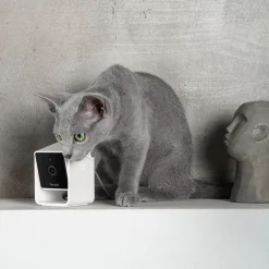 Petcube Cam lemmikkikamera kotiin