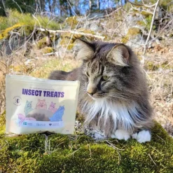 Petgood hyönteispohjainen kissanherkku 60 g