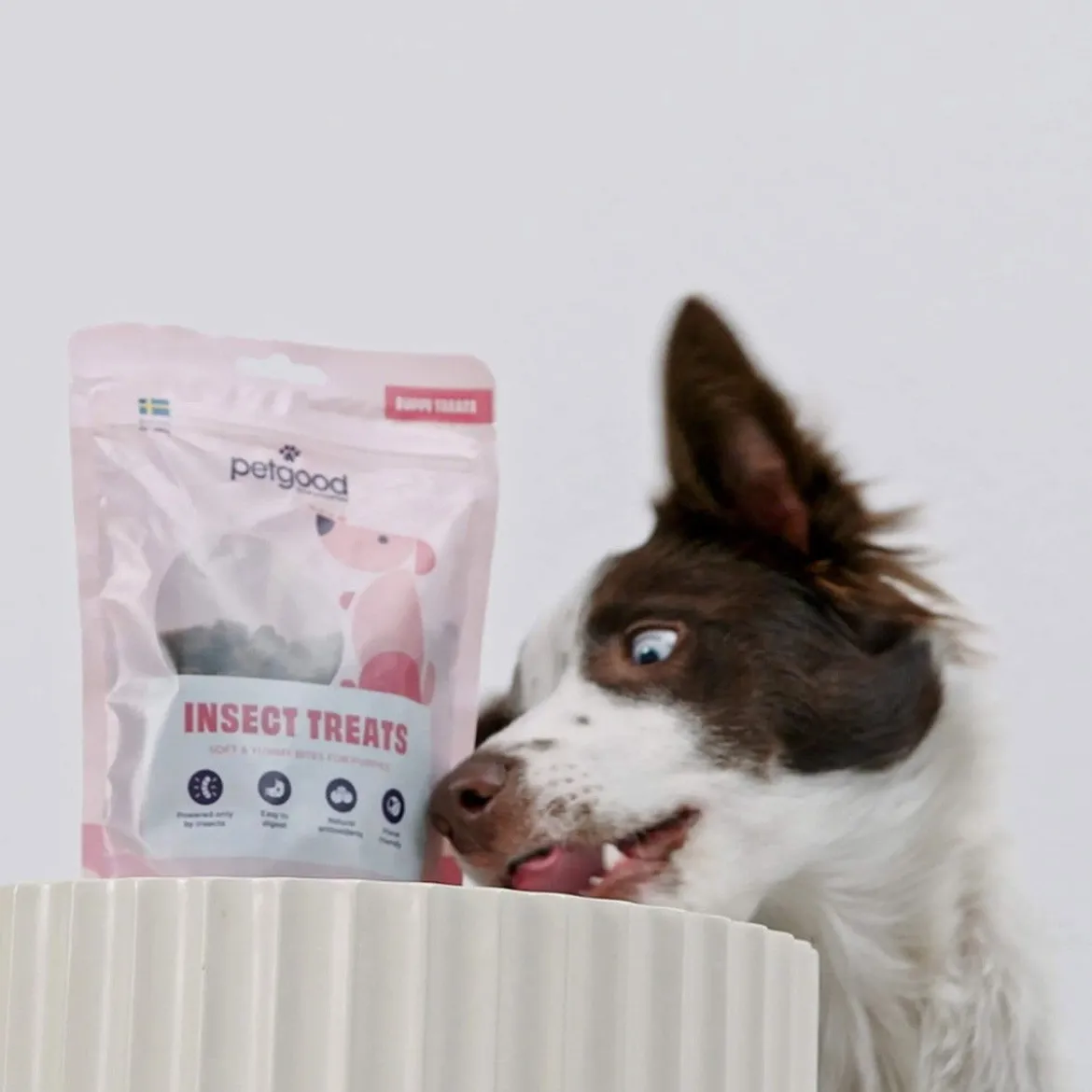 Petgood hyönteispohjainen koiranherkku pennuille 100 g